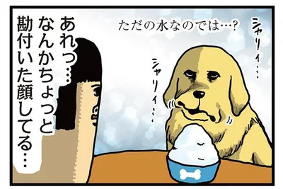 ただの水なのでは…？