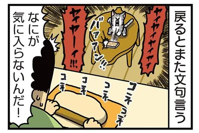 なにが気に入らないんだ！