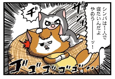 シンバは1人で寝たいんだよ