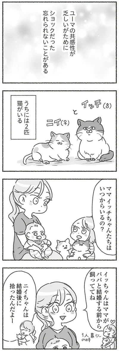 『夫と心が通わない カサンドラ症候群で笑えなくなった私が離婚するまでの話』より