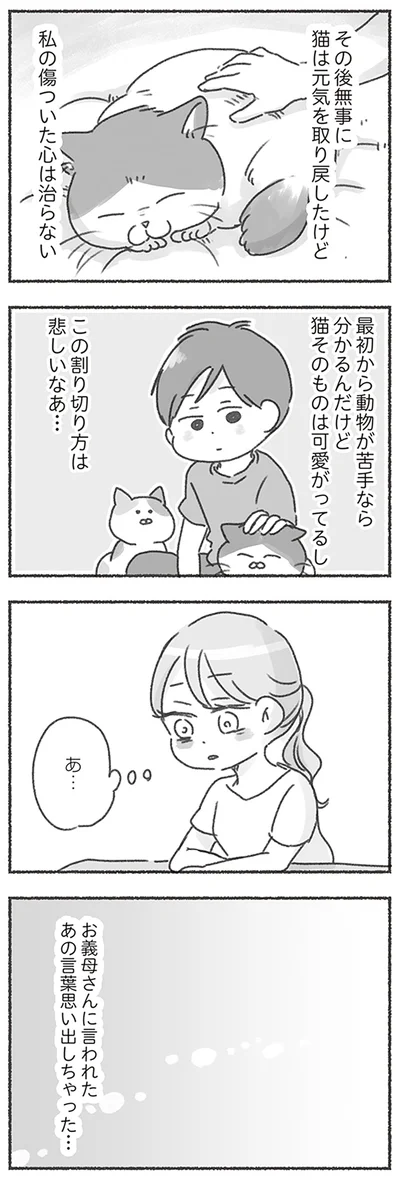 『夫と心が通わない カサンドラ症候群で笑えなくなった私が離婚するまでの話』より
