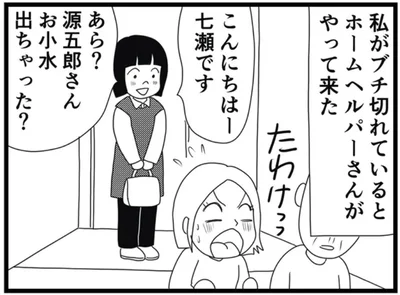 ホームヘルパーさんがやって来た