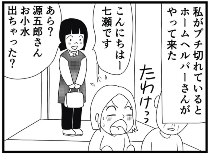 ホームヘルパーさんがやって来た