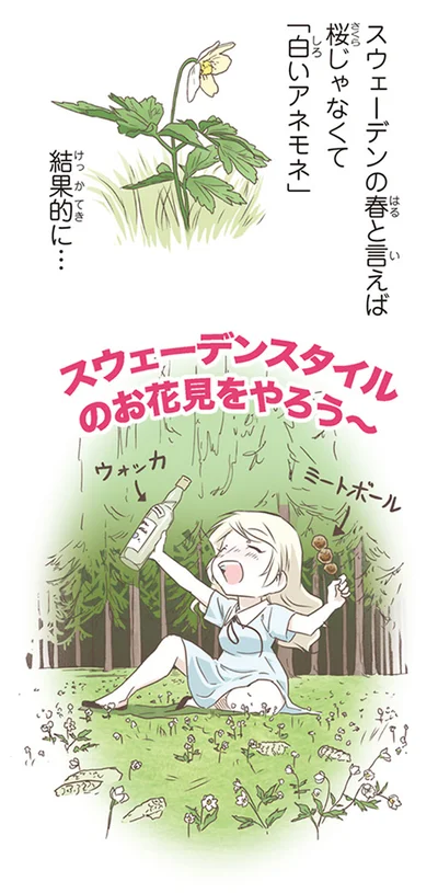 スウェーデンの春といえば桜じゃなくて「白いアネモネ」