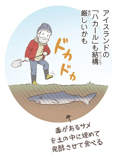『北欧女子オーサが見つけた日本の不思議5』より