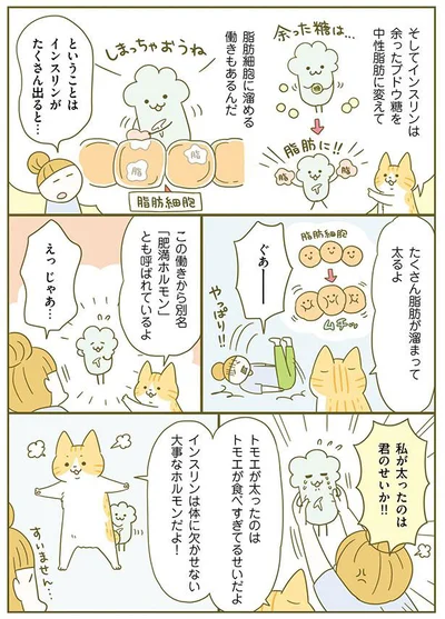 インスリンがたくさんでると…