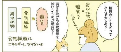 食物繊維はエネルギーにはならないよ