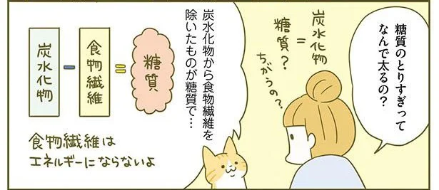 糖質のとりすぎってどうして太るの？ 身体もダルくなってしまうその理由／ネコちゃんのゆるゆるダイエット塾（2）
