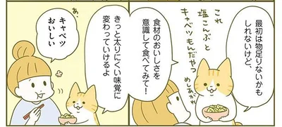 キャベツおいしい