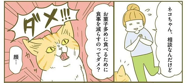 まずは量・頻度を減らしてみて！ お菓子は適量で満足できるように自分を変えよう／ネコちゃんのゆるゆるダイエット塾（4）
