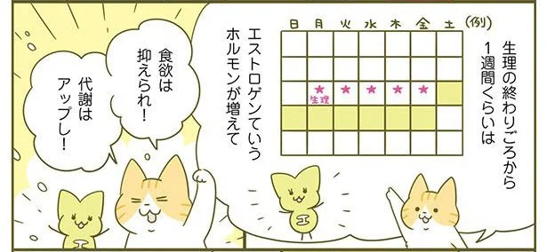 食べる順番、食べる時間帯。ダイエットってタイミングが大事かも？／ネコちゃんのゆるゆるダイエット塾（7）