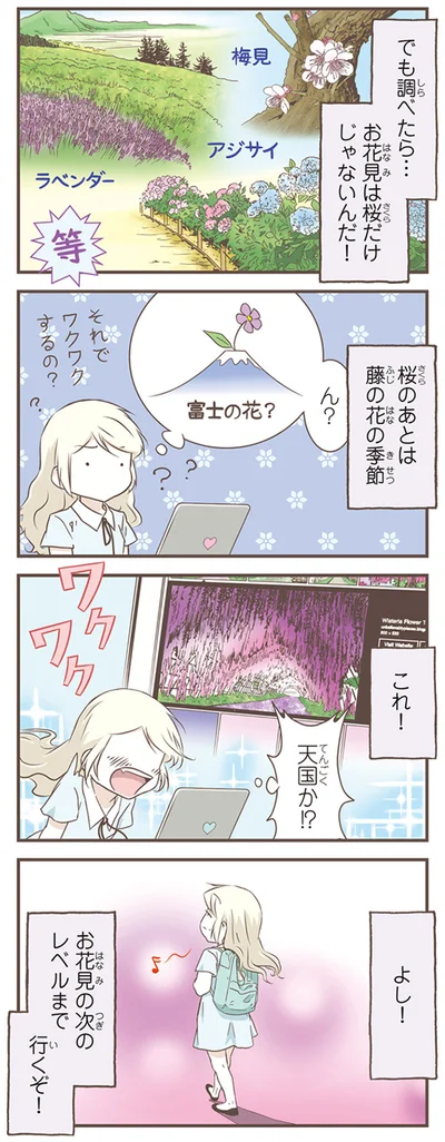 桜のあとは藤の花の季節