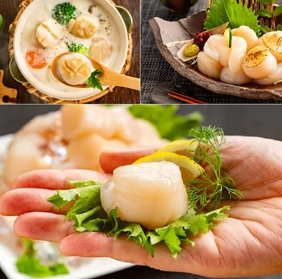 すごい！！こんなに大粒なホタテ
