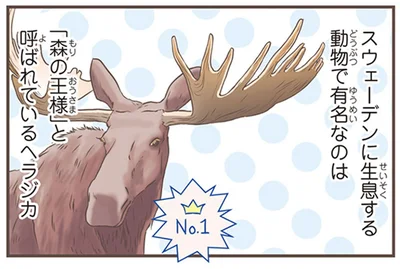 「森の王様」と呼ばれているヘラジカ