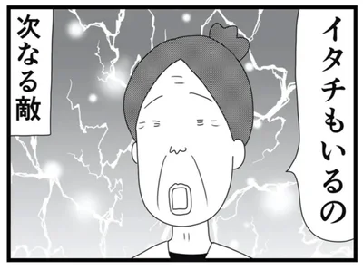 イタチもいるの