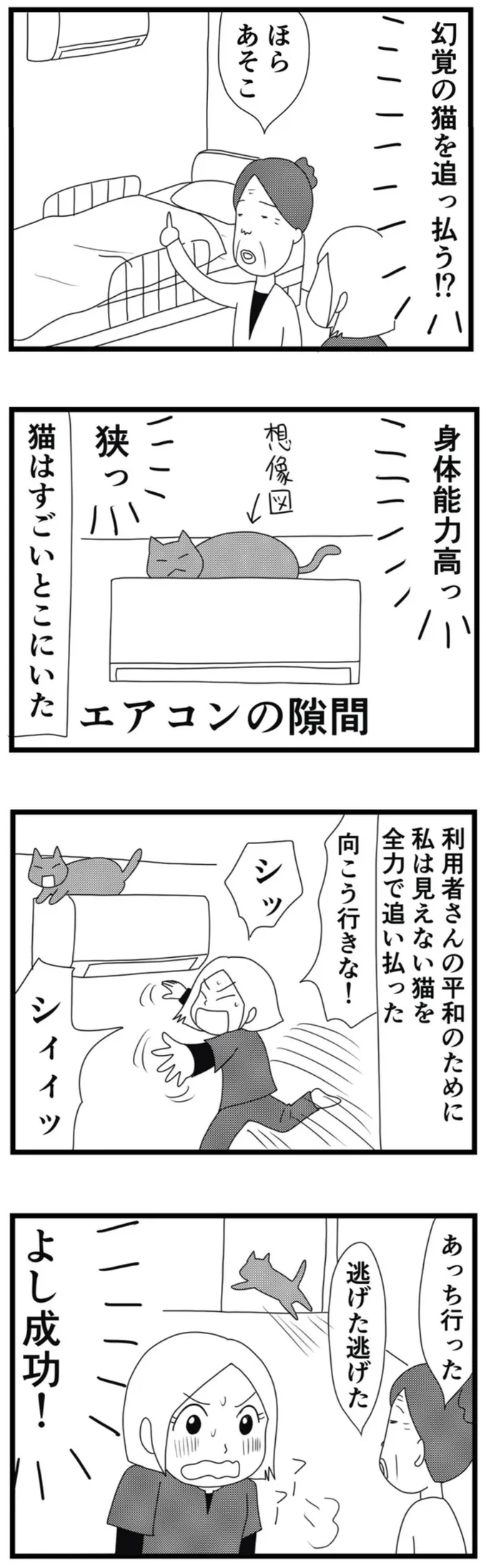 幻覚の猫を追っ払う！？