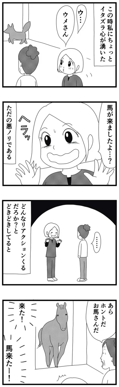 馬が来ましたよ…？