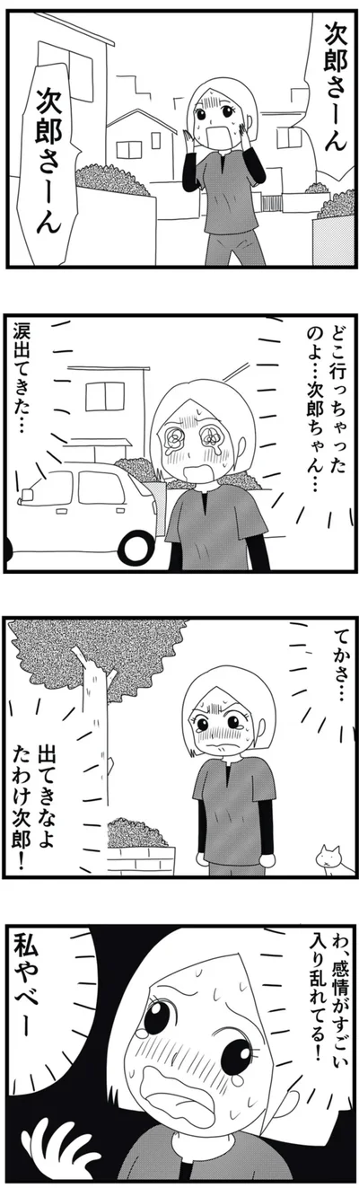 どこ行っちゃったのよ…
