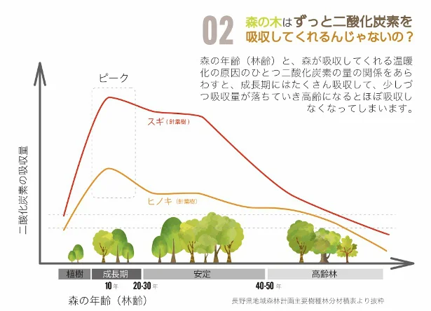 森の木はずっと二酸化炭素を吸収してくれるんじゃないの？