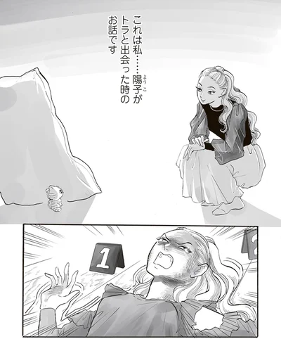 私とトラが出会った時のお話