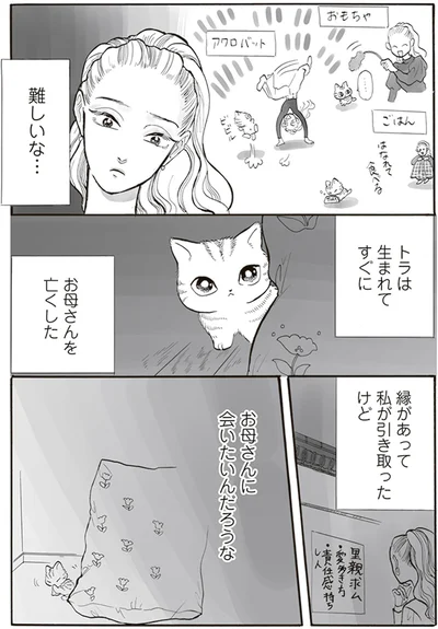 お母さんに会いたいんだろうな