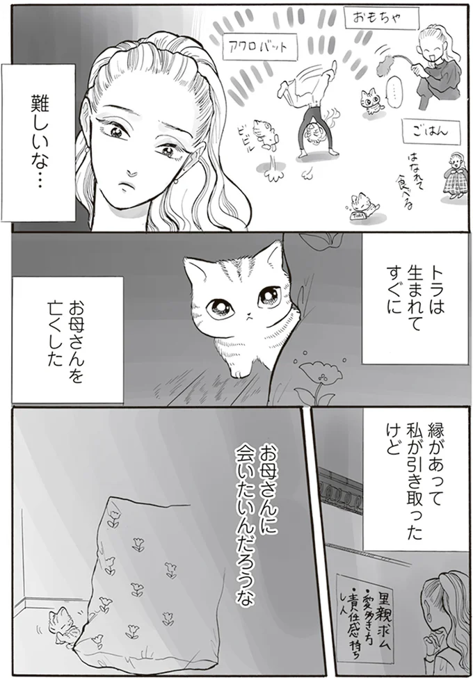 お母さんに会いたいんだろうな