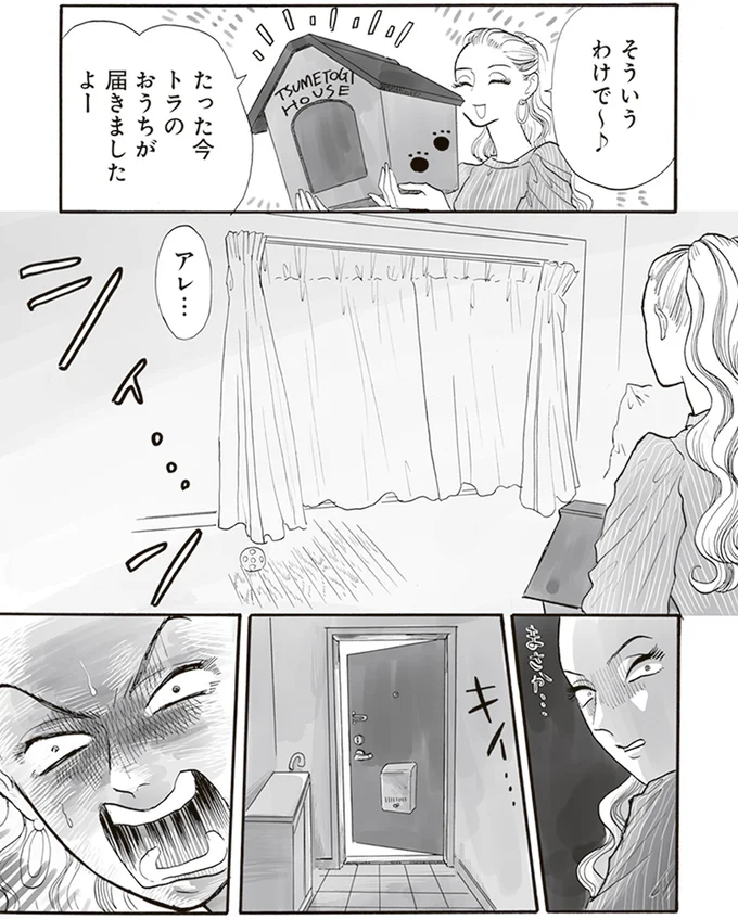 トラのおうちが届きましたよー