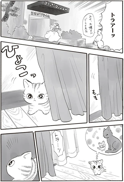 トラアーッ