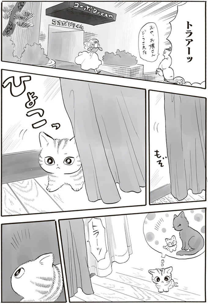 トラアーッ