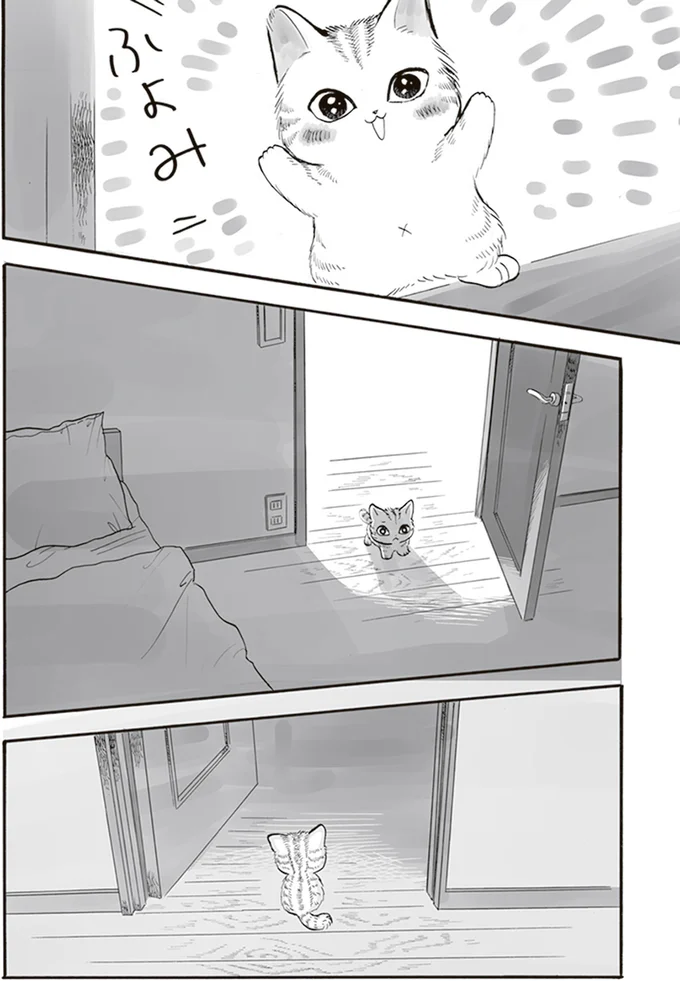 ここにもいない