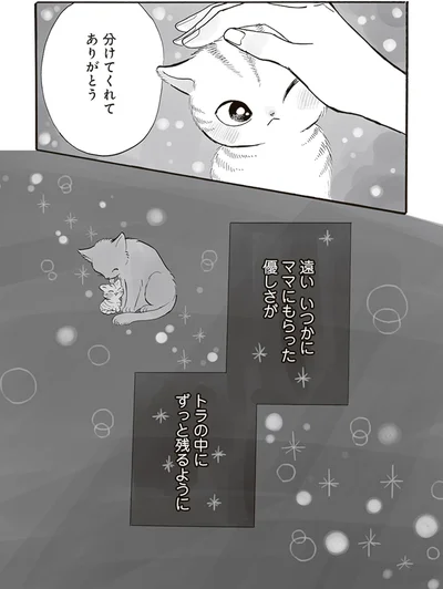 分けてくれてありがとう