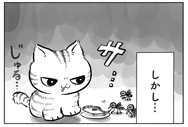 ちょっと、あんた寝返ったわね!? 蚊に買収される猫／トラと陽子（2）