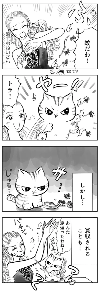 ねこと蚊