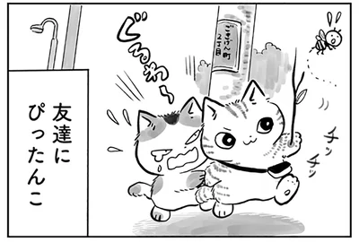 ぴったんこ