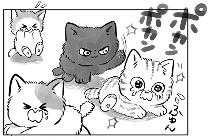 やんちゃなねこ