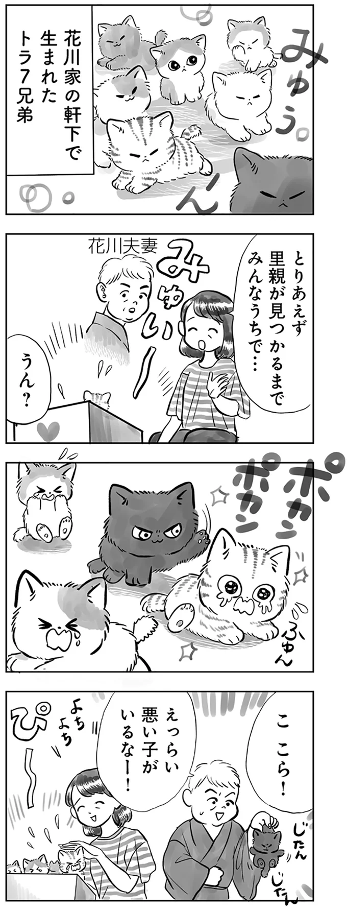 えっらい悪い子がいるなー！