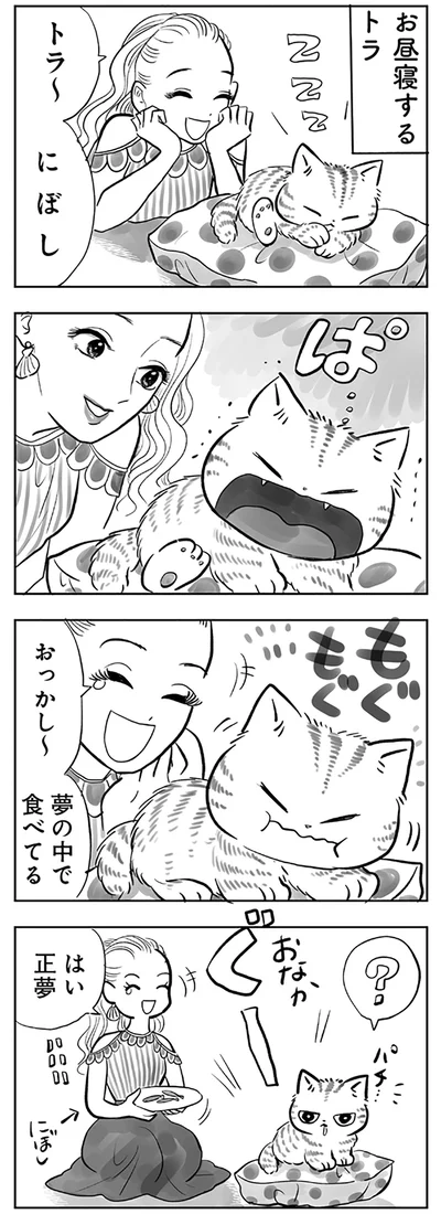 お昼寝するトラ