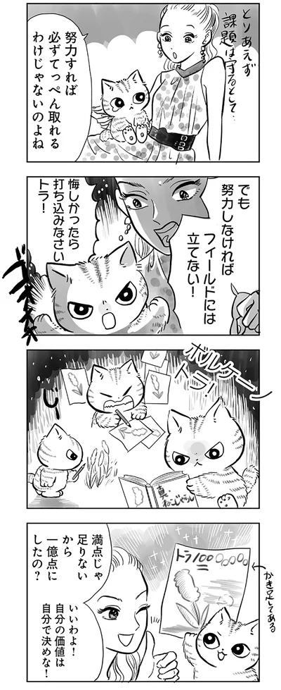 ボルケーノトラ！