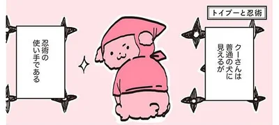 クーさんは普通の犬に見えるが忍術の使い手である