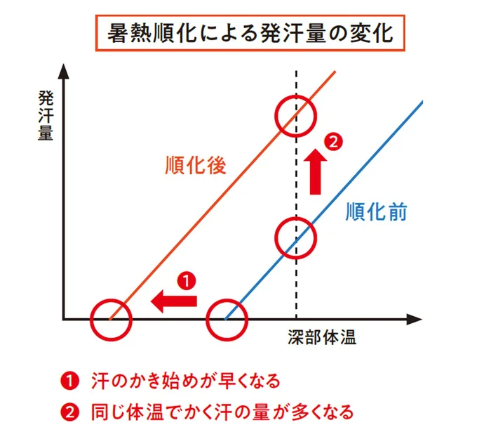 暑熱順化による発汗量の変化