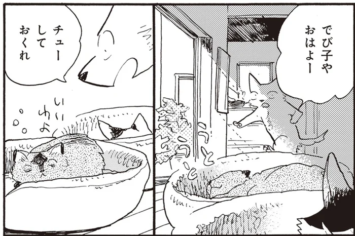 二匹の猫との朝の挨拶は「鼻チュー」。幸せなひとときのはずが!?／にひきといっぴき（1）