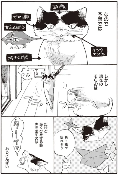 折り紙で折れそう