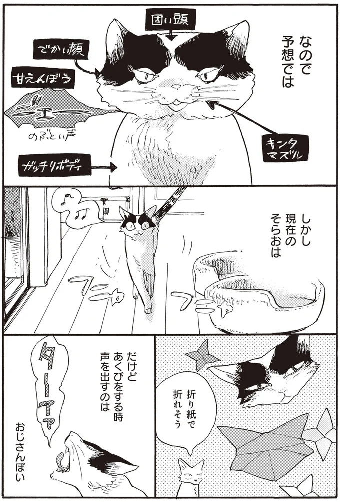 折り紙で折れそう