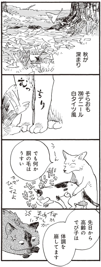 『にひきといっぴき』より