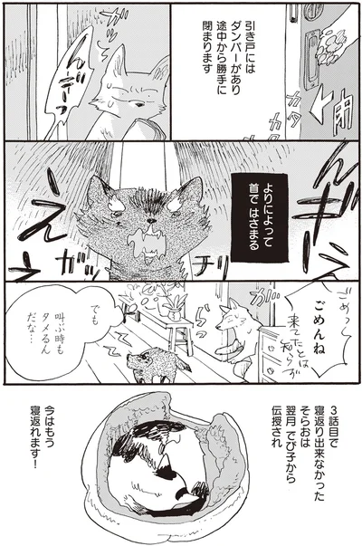 『にひきといっぴき』より