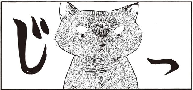 これって猫あるある？手塩にかけて準備したごはん。じっと見た後にスンって!?／にひきといっぴき（4）
