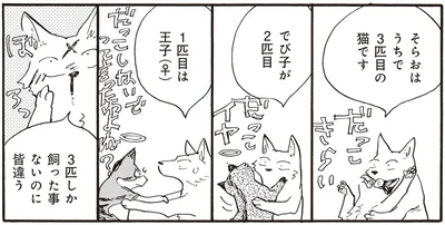 皆違う