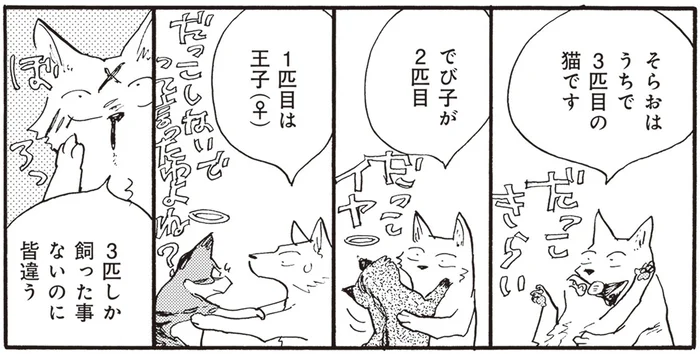 三者ならぬ三匹三様！鳴き方も階段の降り方も寝返りも猫それぞれ／にひきといっぴき（5）