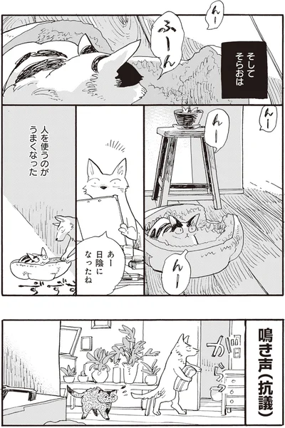 日陰になったね