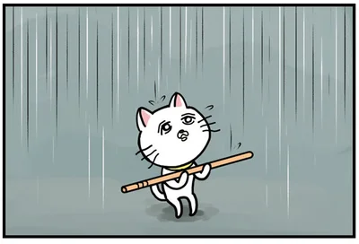 雨